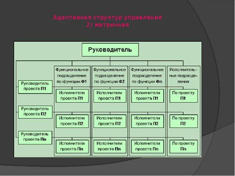 Выделяют типов организационных структур. Матричная адаптивная организационная структура. адаптивная организационная структура схема. адаптивная структур управления 2) матричная. адаптивные организационные структуры управления.