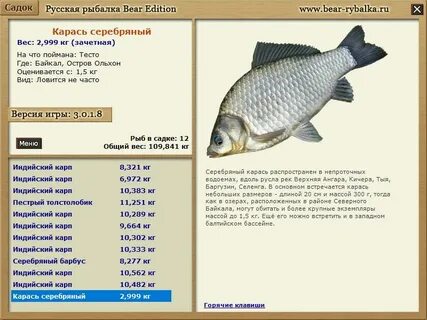 Рыбалка 3 карася