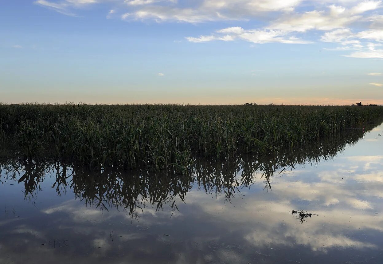 Затопление сельскохозяйственных земель. Наводнение в поле. Подтопление полей. Наводнение в сельском хозяйстве. Затопление сельскохозяйственных угодий.