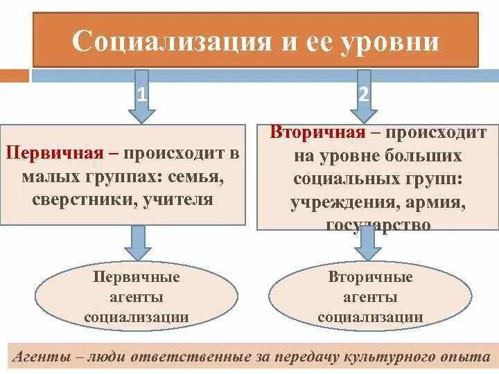 Выберите агентов вторичной социализации. Первичная и вторичная социализация. агенты социализации первичные и вторичные. агенты социализации первичные и вторичные схема. агенты вторичной социализации.