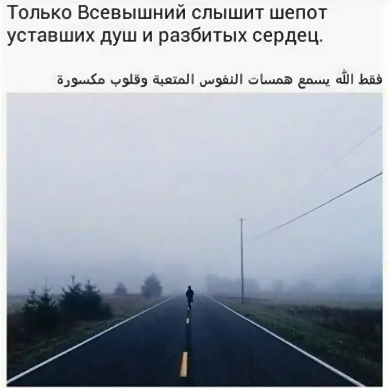 Слышишь шепот деревьев найти слово. Только всевышний слышит шепот.