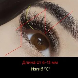 Ее изгибы как