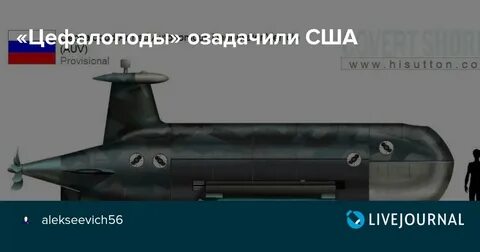 Статус 6