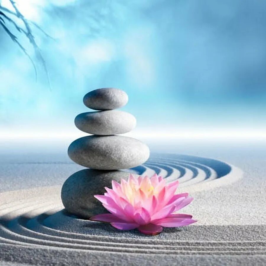 Счастья и гармонии пожелания. Желаю счастья и гармонии. Пожелания внутренней гармонии. С днем рождениямужчимне. Душевной гармонии пожелание.