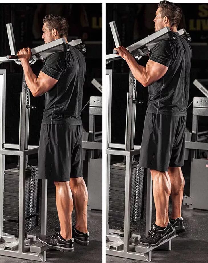 Тренажер для икроножных мышц. Упражнения на икры в зале. Упражнения на икры в зале. Упражнения на икры ног в тренажерном зале. Жим платформы на икры.