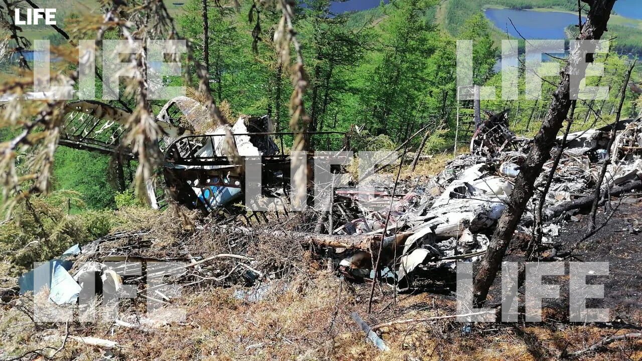 Катастрофа ан-28 под паланой. Нашли упавший самолет. Нашли упавший самолет. Самолёты упавшие в тайге. Авиакатастрофа 15 января 2023.