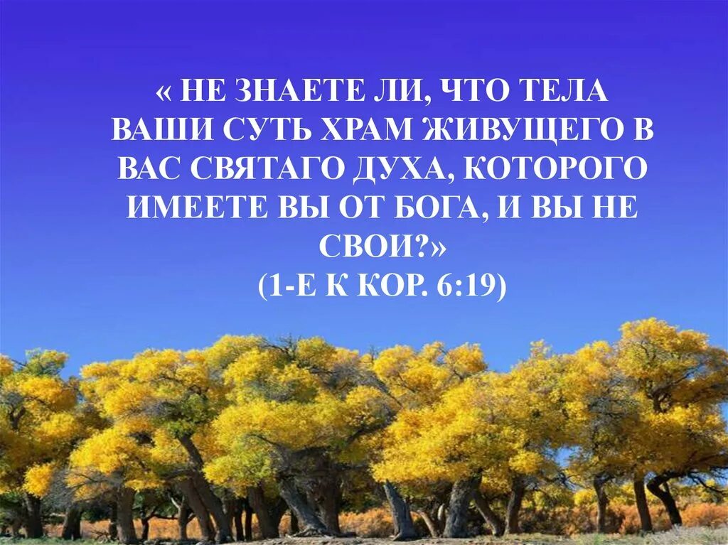 Ибо так возлюбил мир. Тела́ ваши суть храм живущего в вас Святаго духа. Ибо так возлюбил Бог этот мир. Бог так возлюбил мир что отдал сына своего. Ибо так возлюбил Бог мир что отдал сына своего Единородного картинки.