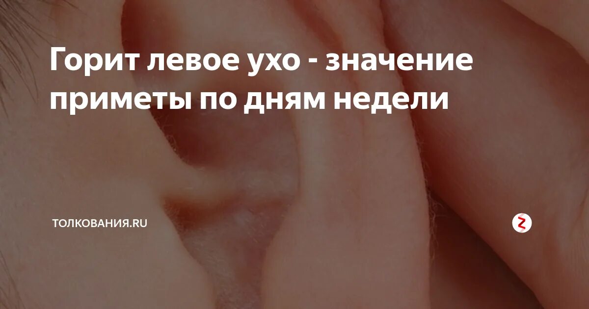 Горят уши в понедельник вечером примета. К чему горит левое ухо. Уши горят к чему это примета. Горят уши примета. Горит левое ухо примета.