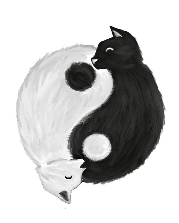 Котик инь. Наоми лорд лиса иньянь. коты воители инь янь. инь ян лиса. котики инь янь.