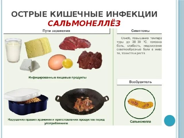 Острые кишечные инфекции тест. Пищевые продукты вызывающие острые кишечные инфекции. Перечислите пищевые инфекции. Назовите продукты и причины вызывающие острые кишечные инфекции. Профилактика пищевых отравлений и кишечных инфекций.