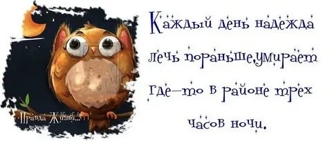 Снова надейся
