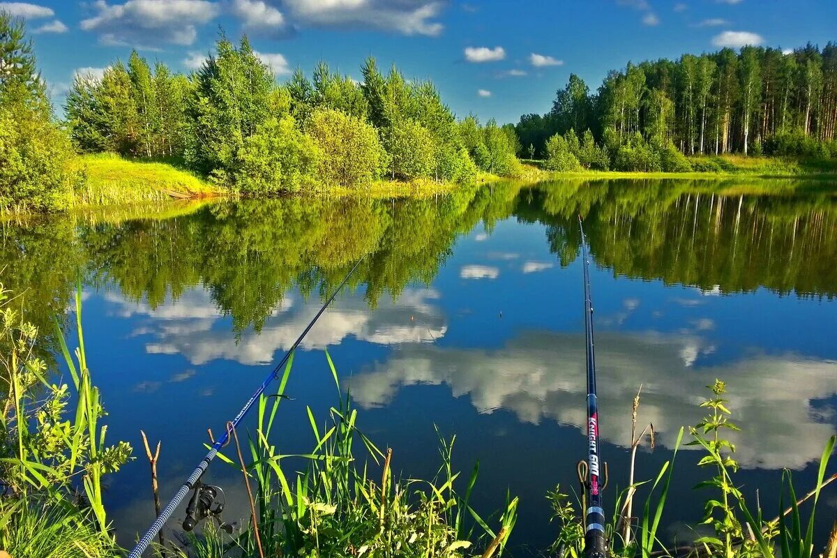 Русская рыбалка пруд. Природа река. Природа озеро. Природа рыбалка. Река в лесу.