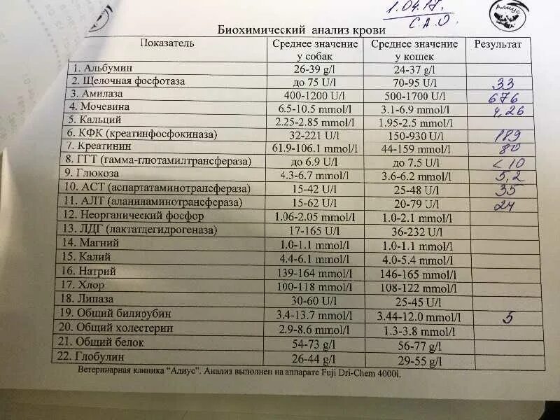 Направление на б х. Норма общего анализа крови биохимия. Биохимические показатели крови норма. Биохимический анализ крови показатели нормы для женщин. Анализ крови биохимический общетерапевтический.