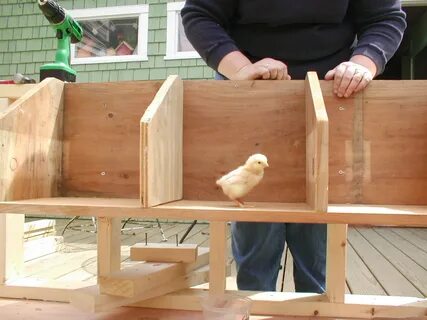 Build nesting boxes