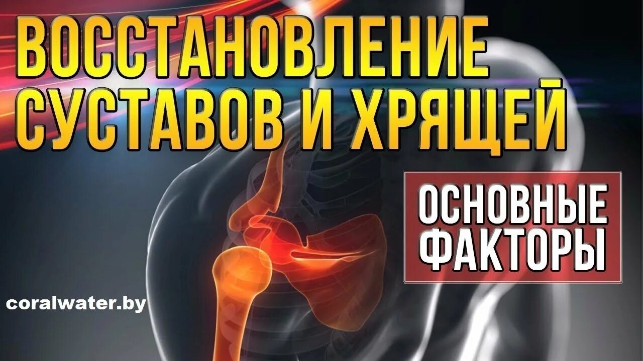 Как нарастить хрящевую ткань в суставах