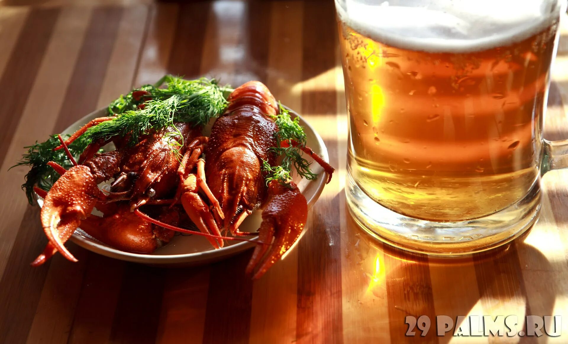 Рак пила. Пиво с лобстером. Пиво и омары. Красная рыбка к пиву. Креветка бар.
