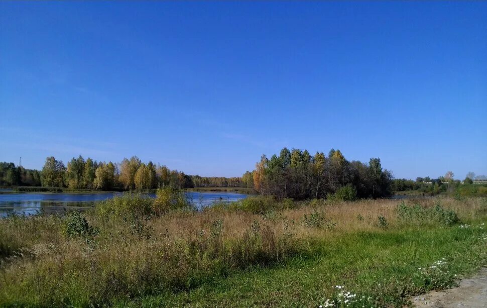 Р пышма. Река пышма тюмень. река пышма онохино. река пышма свердловская область. санаторий пышма тюмень.