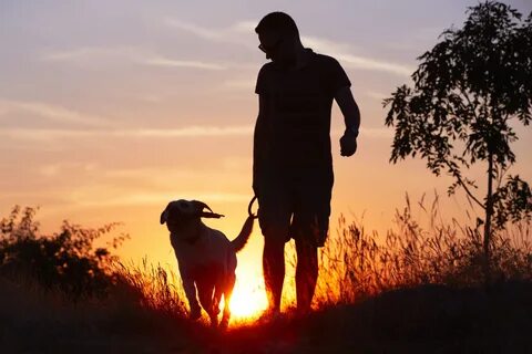 With dog