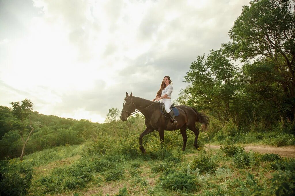Конные прогулки алтай. Поездка на лошадях. Travel on horseback. Перевоз лошадей. Катание на лошадях.