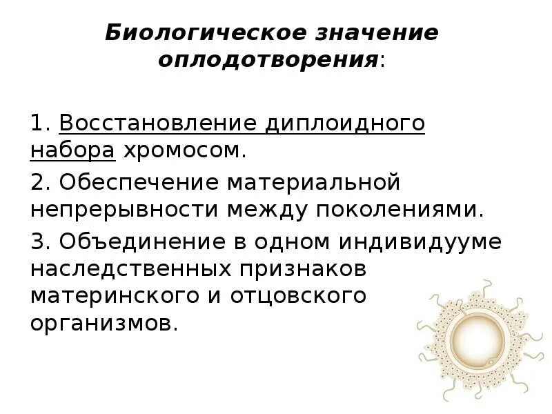 В чем заключается биологическое значение оплодотворения. Какова биологическая роль оплодотворения кратко. биологическая сущность оплодотворения. биологическое значение процесса оплодотворения. биологическое значение оплодотворения заключается.