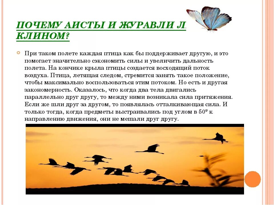 Почему летит птица