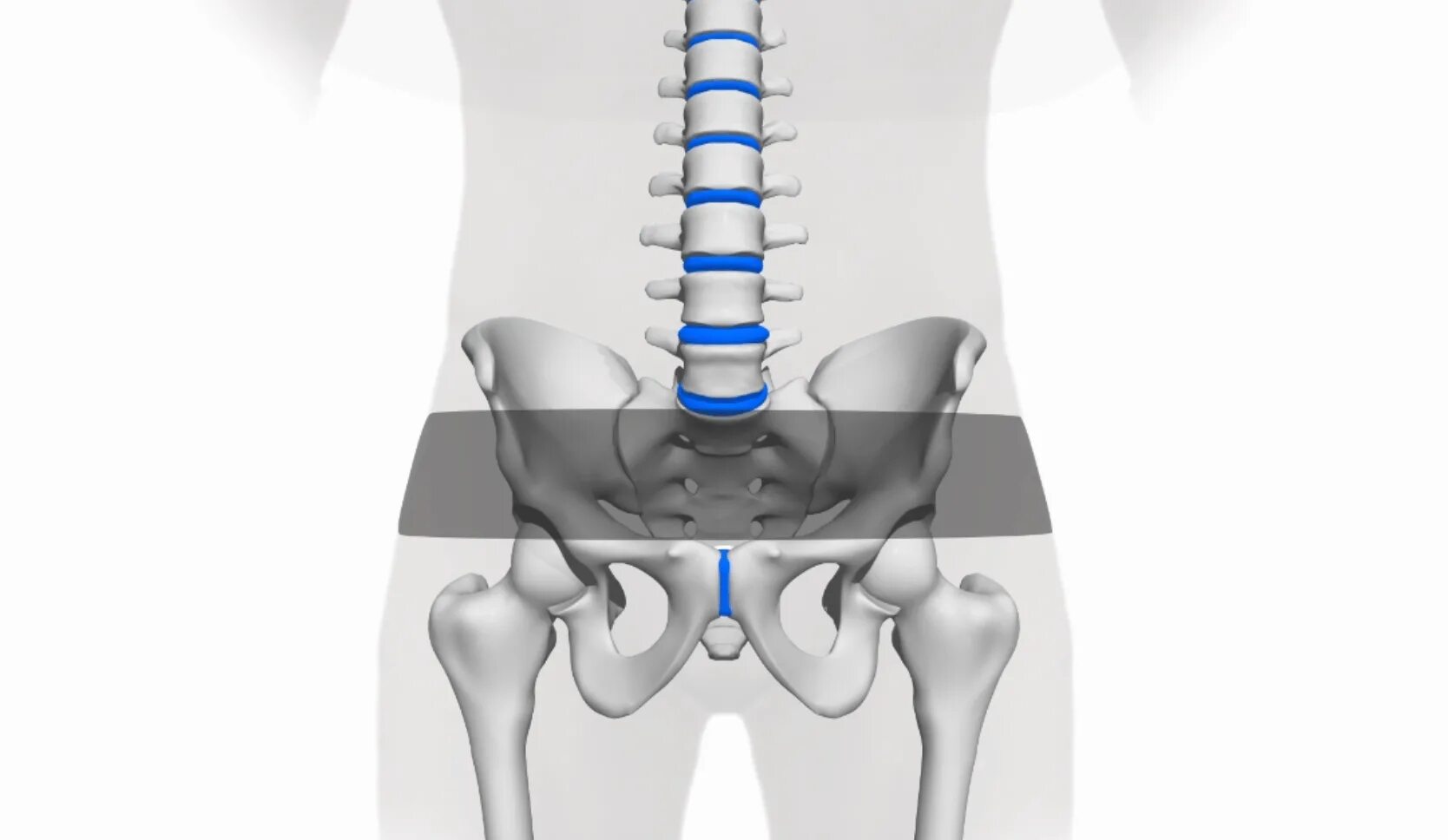 Боль в подвздошной кости. Бандаж крестцово подвздошный. Крестцово-подвздошный пояс. Пояс-бандаж Sacrum Biomechanics. Крестцово-подвздошный сустав.