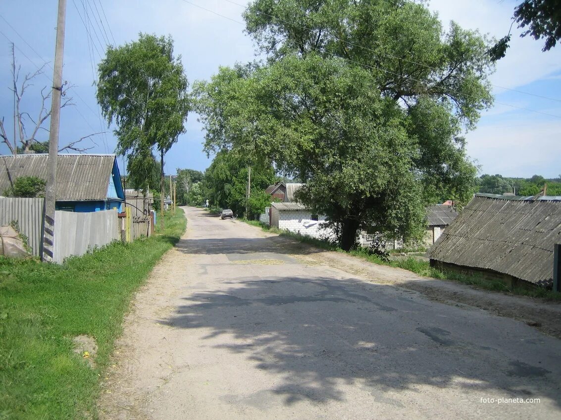 Село стародубское. Село Левенка Стародубский район. Село Дареевичи Стародубского района Брянской области. Брянская область Стародубский район деревня Левенка. Стародуб село Дареевичи.