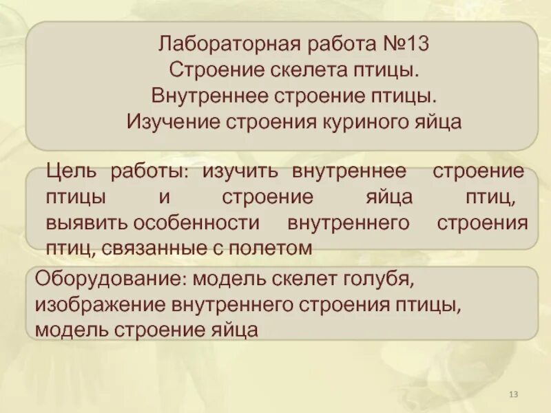 Исследование особенностей скелета птицы лабораторная работа 8. Лабораторная работа изучение строения куриного яйца. Изучение строения яйца птицы лабораторная работа. Лабораторная работа строение яйца птицы. Лабораторная работа 8 изучение строения яйца птицы.