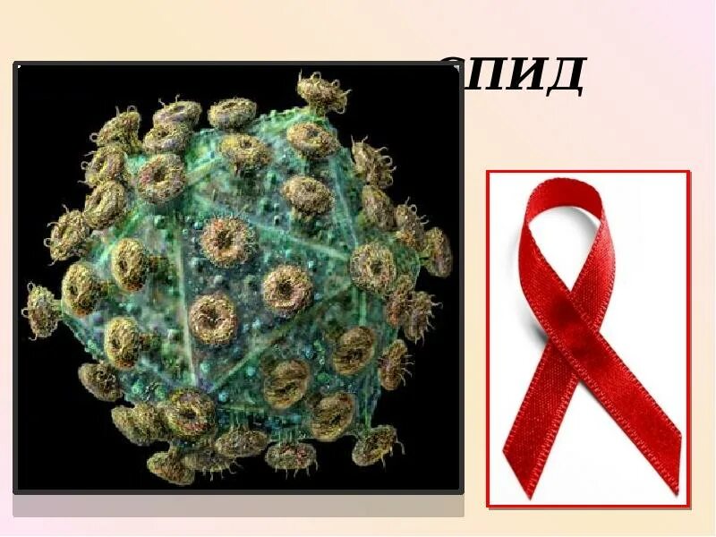 Строение вич. Строение вируса ВИЧ. Строение СПИДА. Вирус ВИЧ размножается. Строение ВИЧ микробиология.