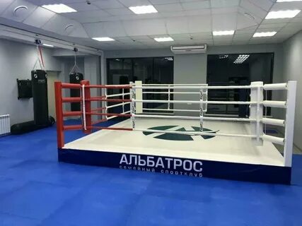 Альбатрос тольятти