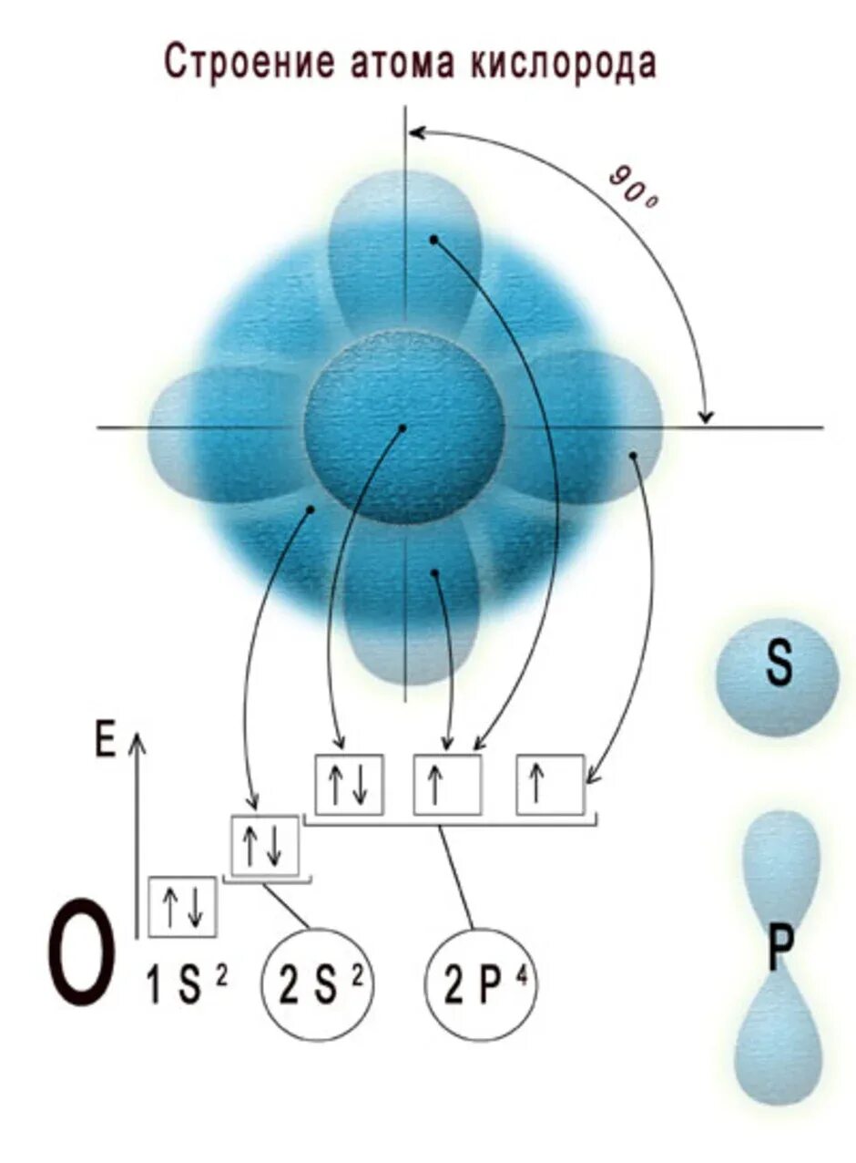 Рисунок схема строения электронной оболочки атома. Атом кислорода строение орбиталей. Электронная структура атома кислорода. Электронное строение атома кислорода. Строение электронной оболочки атома кисл.