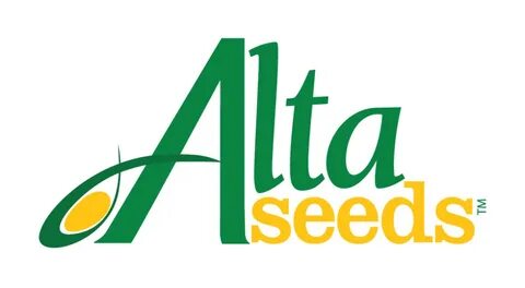 Alta