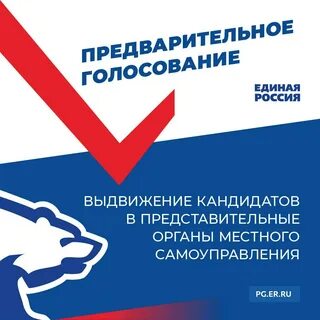 Выборы в органы местного самоуправления