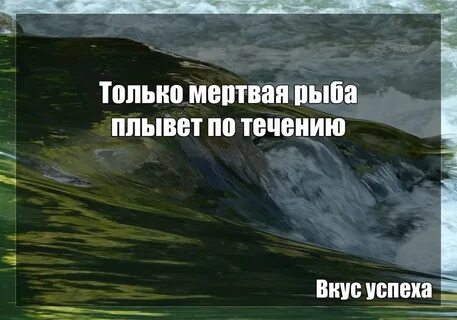 Против течения 8