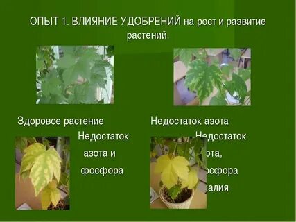 Недостаток азота какой закон