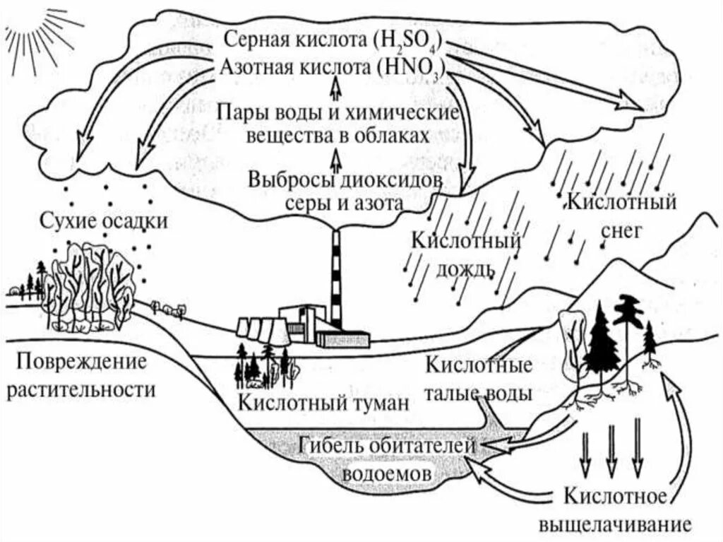 Схема образования кислотных дождей. Схема механизм образования кислотных осадков. Механизм образования кислотных дождей схема. Кислотные дожди схема. Влияние серы на окружающую среду