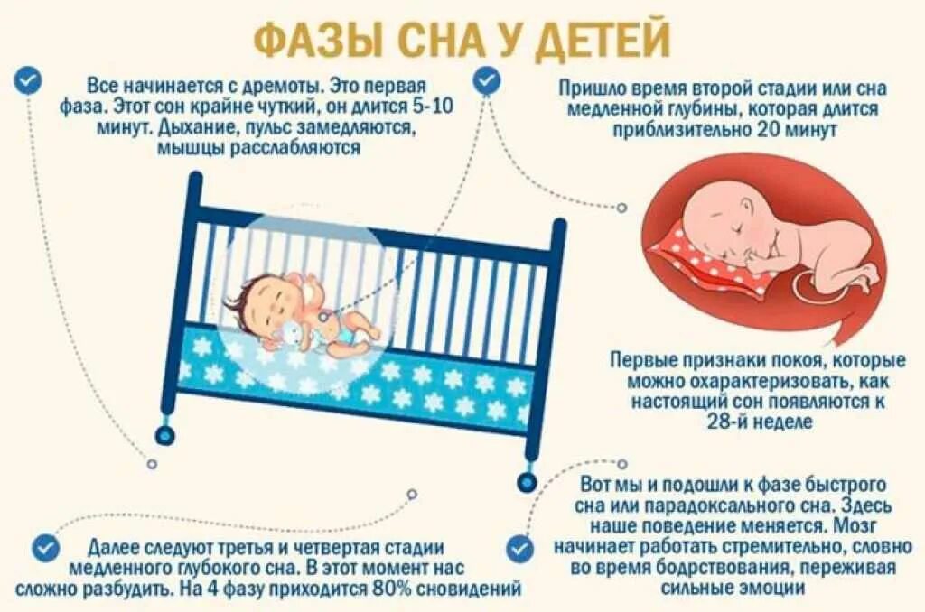 Во сколько детей ложат спать. Фазы сна младенца 2 месяца. Фазы сна грудного ребенка в 2 месяца. Фазы сна ребенка в 1 год. Фазы сна ребенка 4 года.