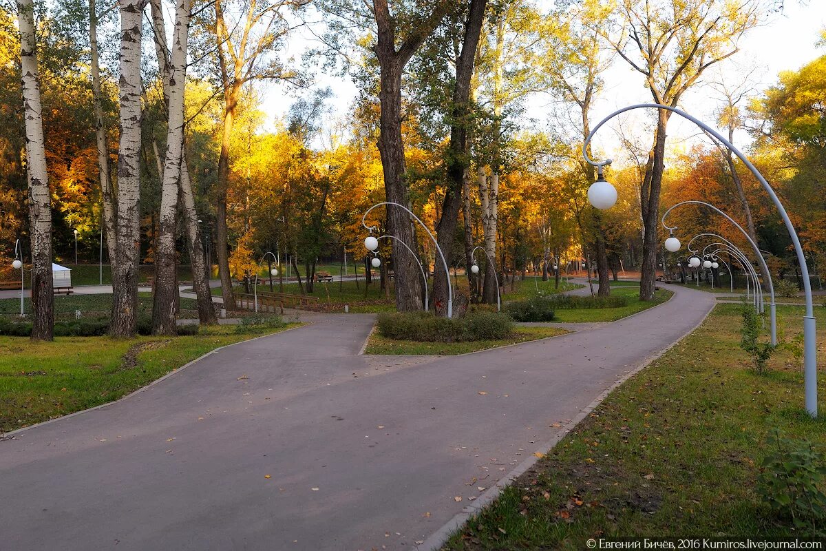 Куз воронеж. Парк Динамо Воронеж. Город Воронеж парк Динамо. Парк Динамо Воронеж осенью. ЦПКИО Воронеж.