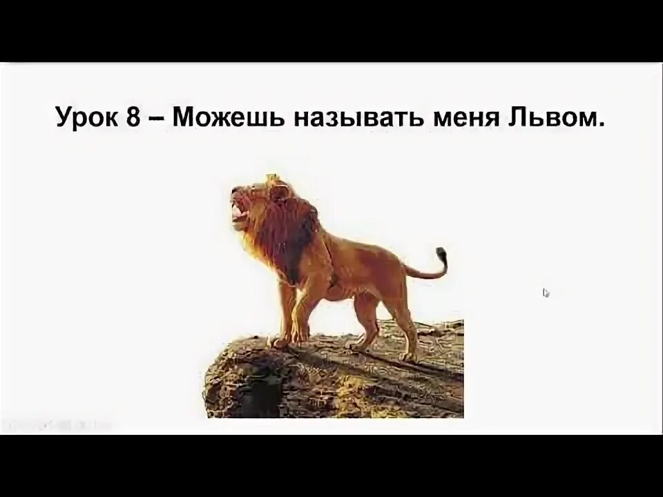Лев и львица. Влюбленный лев уже. Лев защищает львицу. Лапы льва. Лев мем.