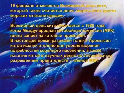 Международный день китов