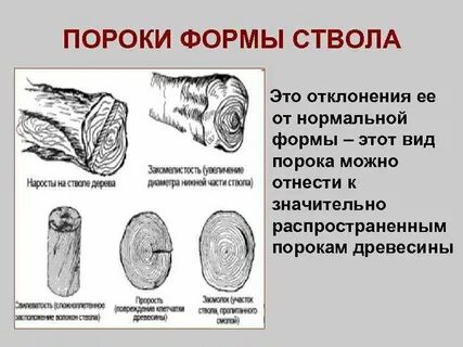 Классы формы ствола