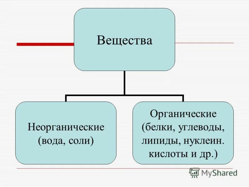 Вода органическая или неорганическая