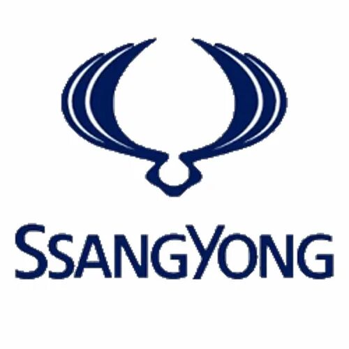 Обслуживание ssangyong. Санг йонг лого. санг йонг марка машины значок. ssangyong motor company.