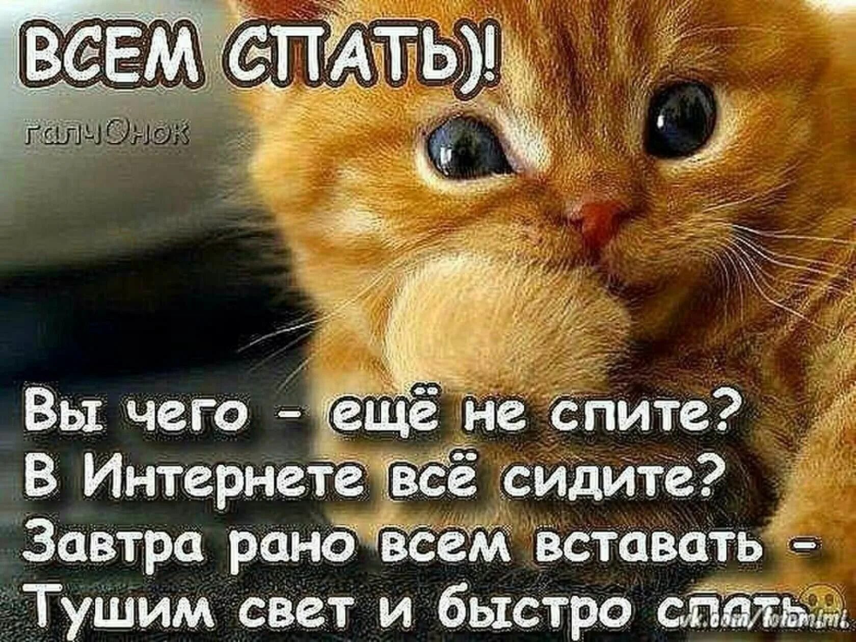 Всем спать спокойной ночи. Пора спать!. Всем спать завтра на работу. Спокойной ночи картинки прикольные. Приеду и буду спать