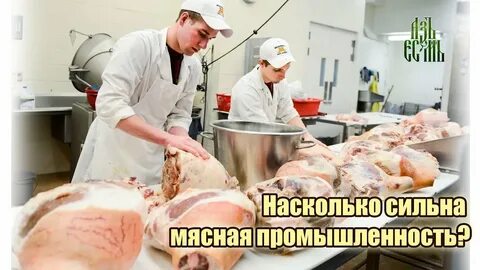 Мясная отрасль пищевой промышленности