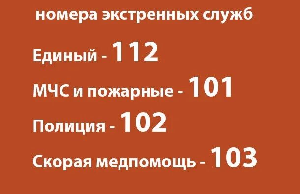 Служба телефона мчс