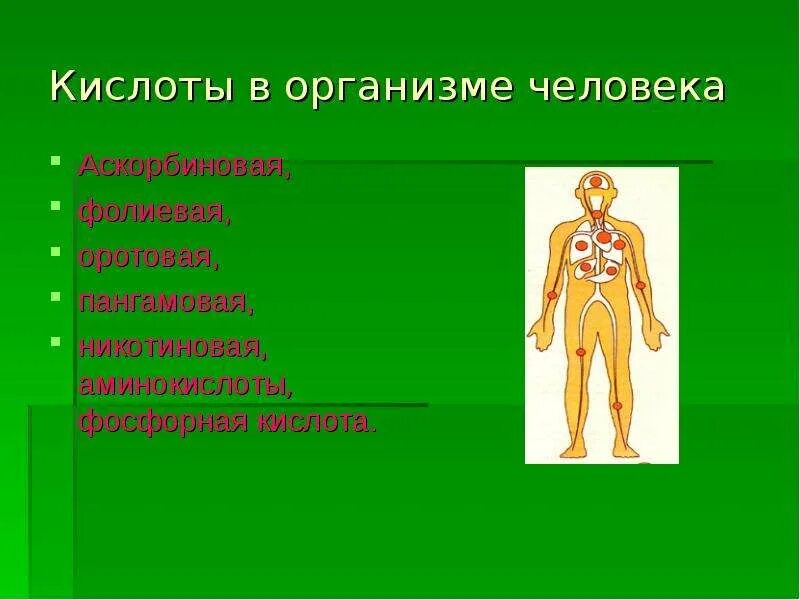 Кислоты человеческого организма. Повышение мочевой кислоты в моче причины. Кислоты человеческого организма. Примеры кислот в организме человека. Роль кислот в организме человека.