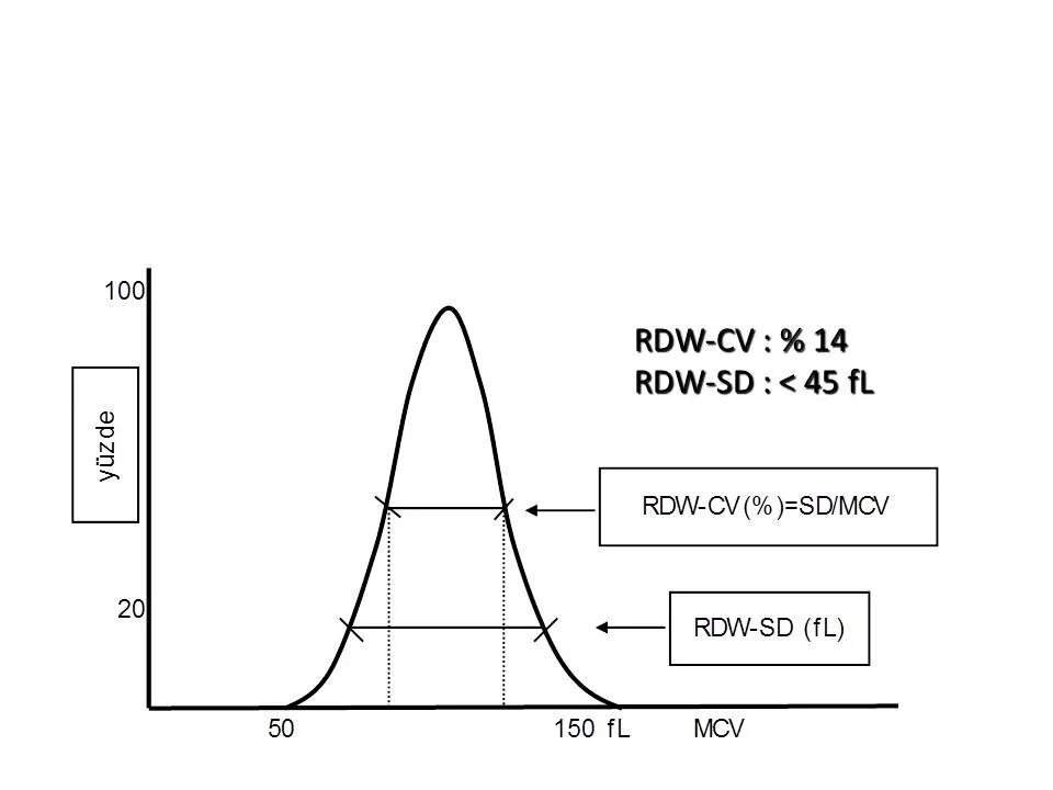 Что значит rdw cv. RDW (Red Cell distribution width) характеризует. RDW-CV RDW-SD. RDW — Red Cell distribution. RDW-CV формула.