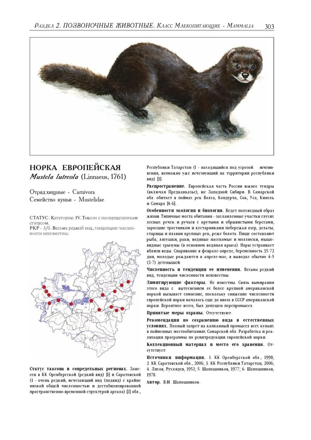 Красная книга самары животные. Красная книга самары животные. Рысь жигулевский заповедник. Животные поволжья занесенные в красную книгу. Красная книга самары животные.