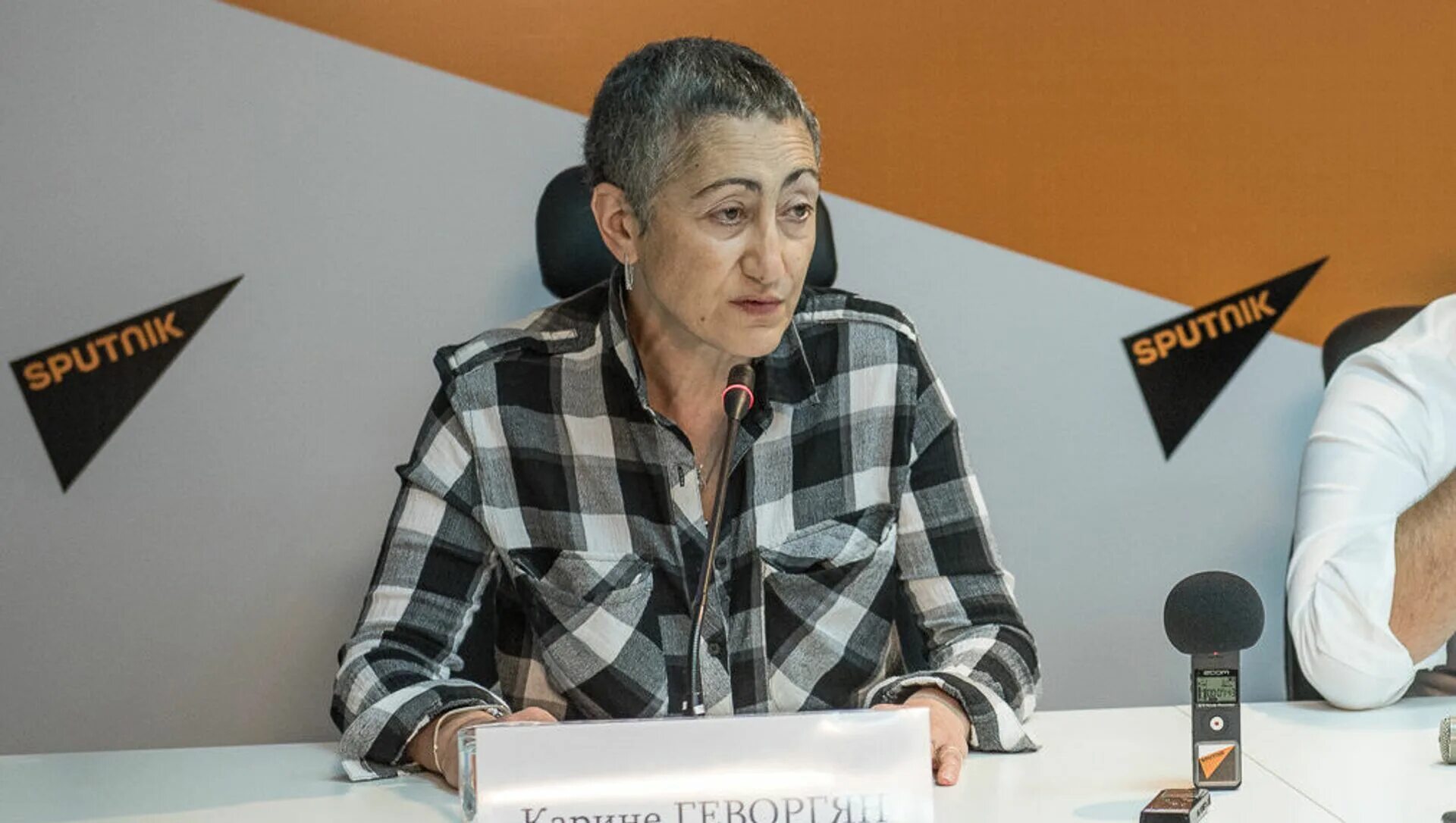 Геворгян каринэ александровна. Геворгян интервью. Геворгян интервью. Каринэ геворгян востоковед. Геворкян каринэ.